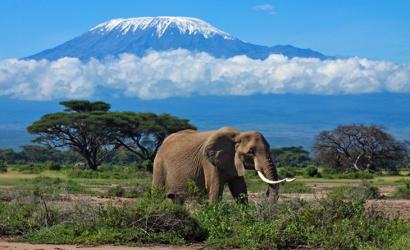 Tanzania: Africa’s Golden Standard of Travel, and the Journey Ahead