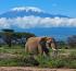 Tanzania: Africa’s Golden Standard of Travel, and the Journey Ahead