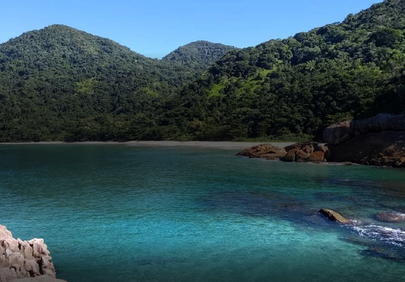 Brazil Sensations Triumphs at the 2024 World MICE Awards | Focus ...