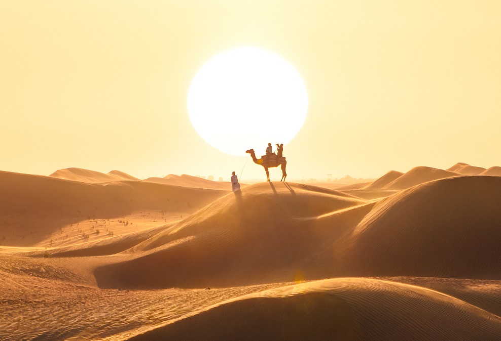 Dubai Desert NS 1 2020